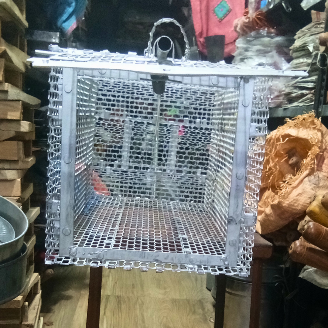 Galvanized Iron Handmade Big Size Cage Trap for Cat & Rat (To Relocate)