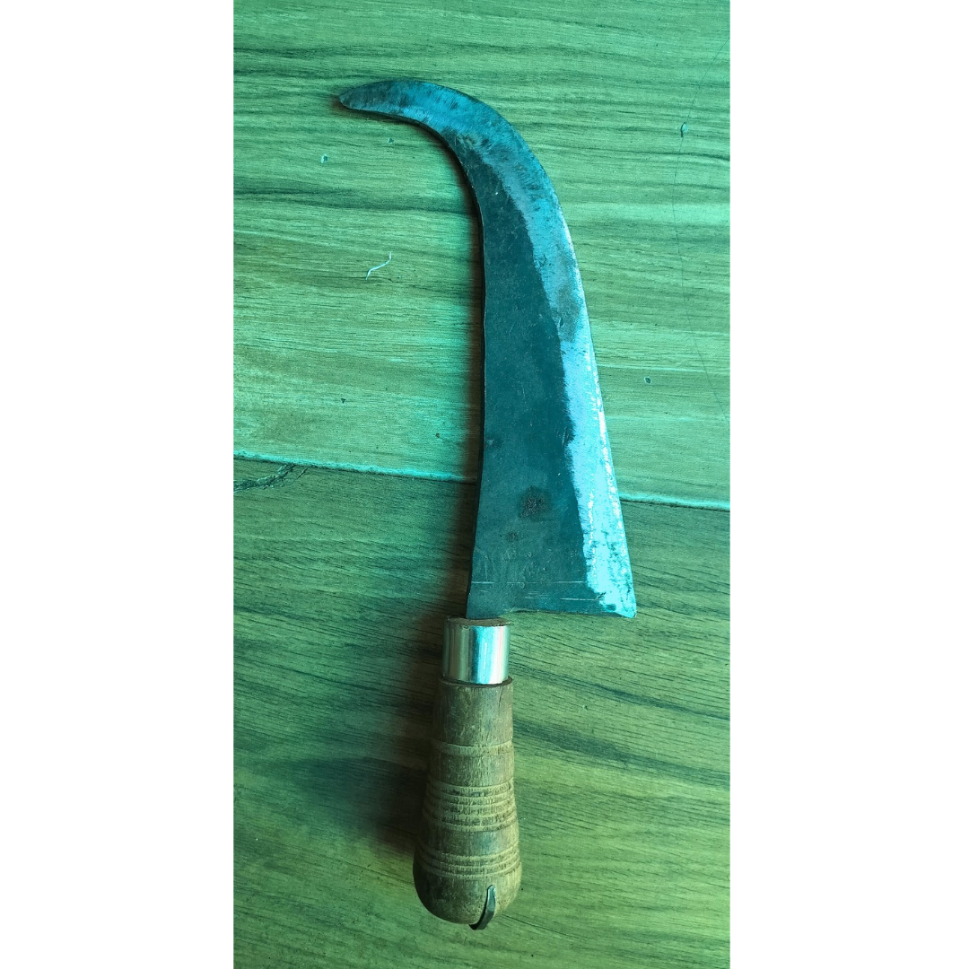 Handcrafted Iron Fish Cutting Knife with a Wooden Handle