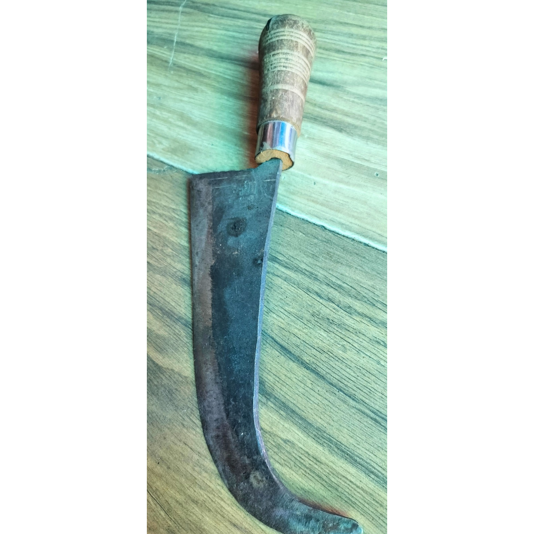 Handcrafted Iron Fish Cutting Knife with a Wooden Handle