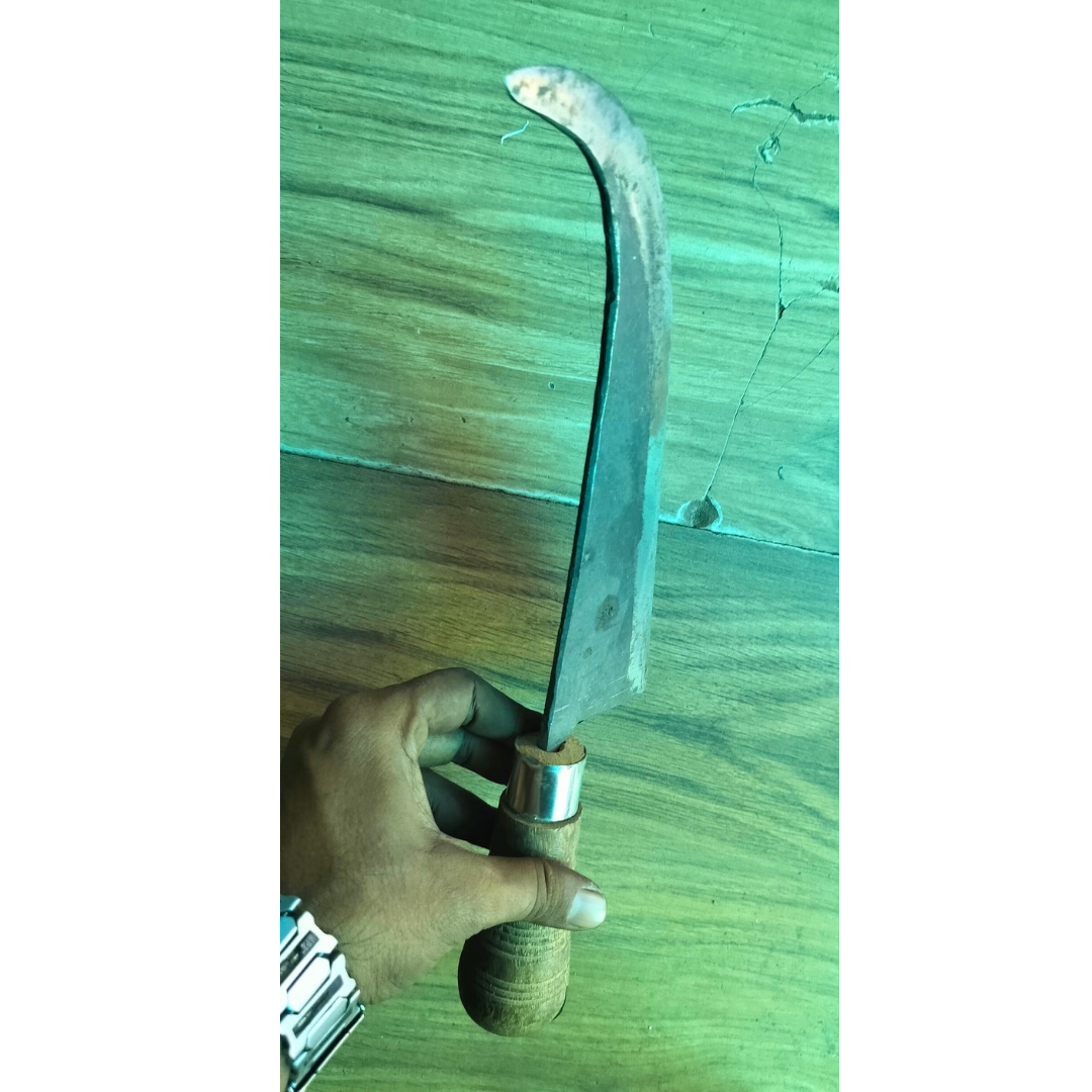 Handcrafted Iron Fish Cutting Knife with a Wooden Handle