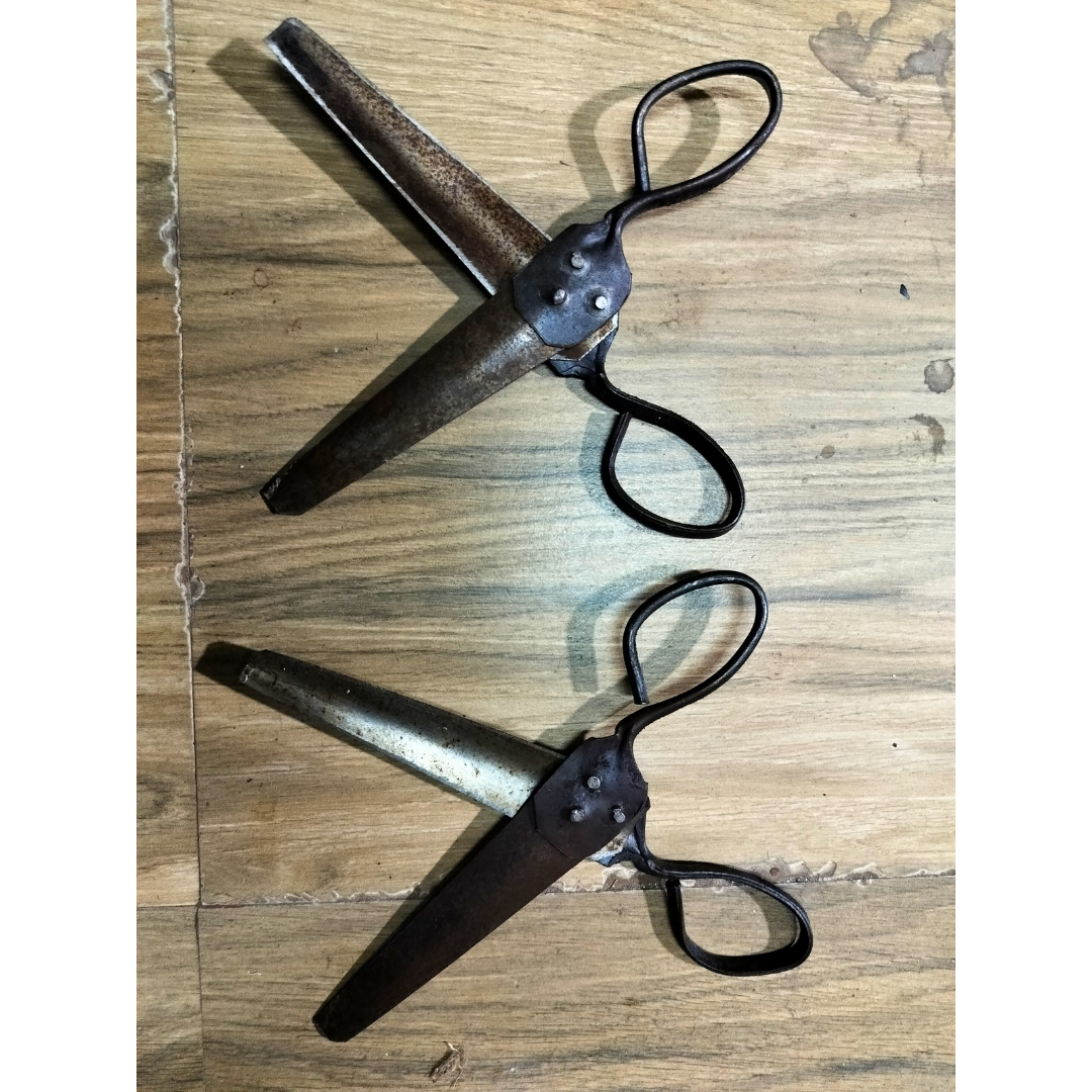 Handmade Iron Scissors for Flower Cutting β Pack of 2
