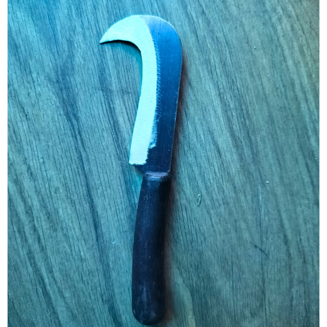 Small Curved Knife / Handy Iron Pairing Knife for Delicate Tasks with fiber handle (7 in / 17 cm)