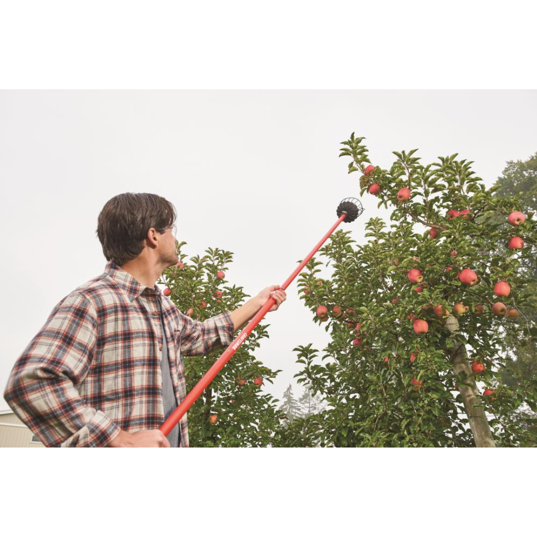 Traditional Curved Iron Tool for Pruning / Weeding / Gardening / Harvesting (Big Size)