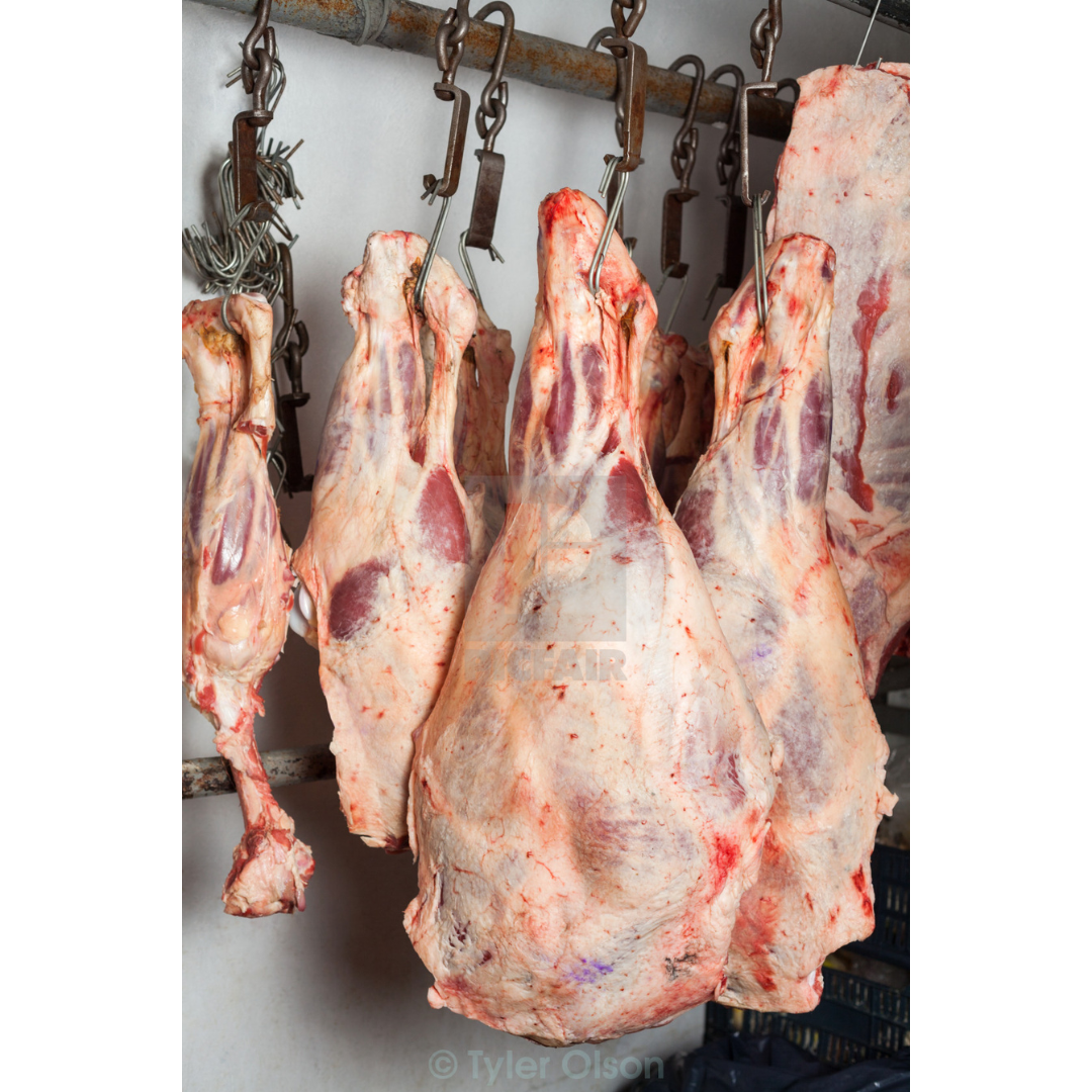 Iron Meat Hook, Meat Hanging Hook, Mutton | Chicken | Multi Use Hook for Non-Veg Shops / Butchers Shop, and Home