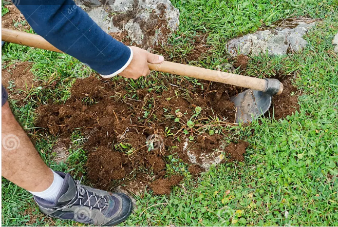 Iron Gardening Spade / Hoes / Shovel / Manvetti / Mammoty / Soil Cutter / மண்வெட்டி for Home Care & Agricultural Use with Wooden Handle