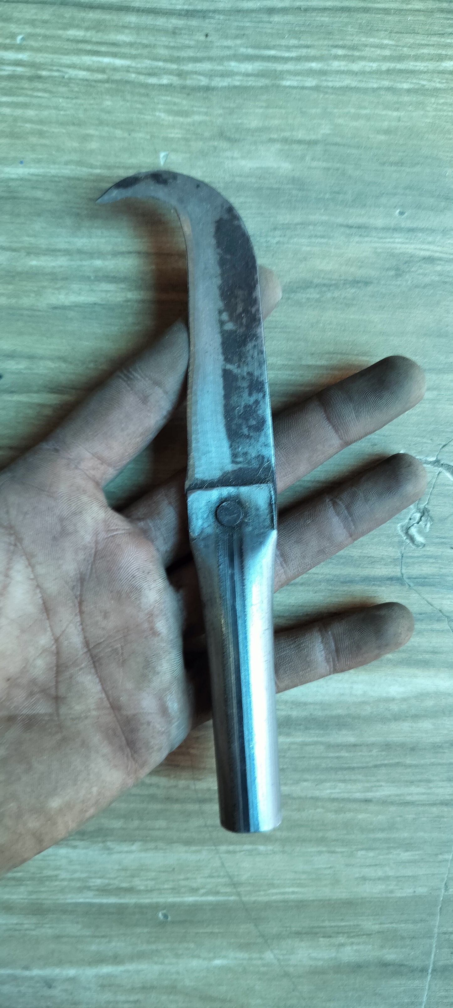 Small Curved Knife / Handy Iron Pairing Knife for Delicate Tasks (6 in / 15 cm)