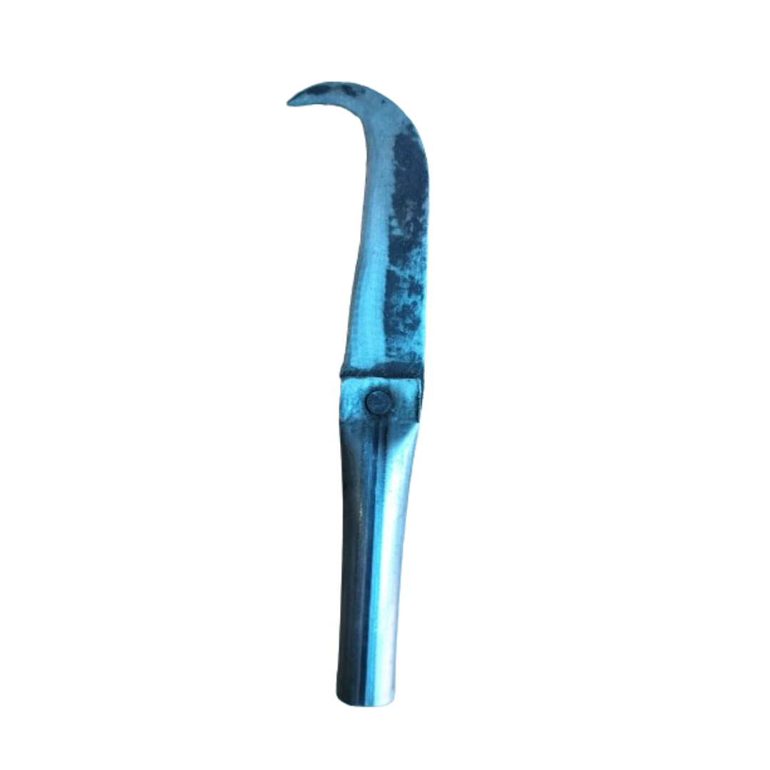 Small Curved Knife / Handy Iron Pairing Knife for Delicate Tasks (6 in / 15 cm)