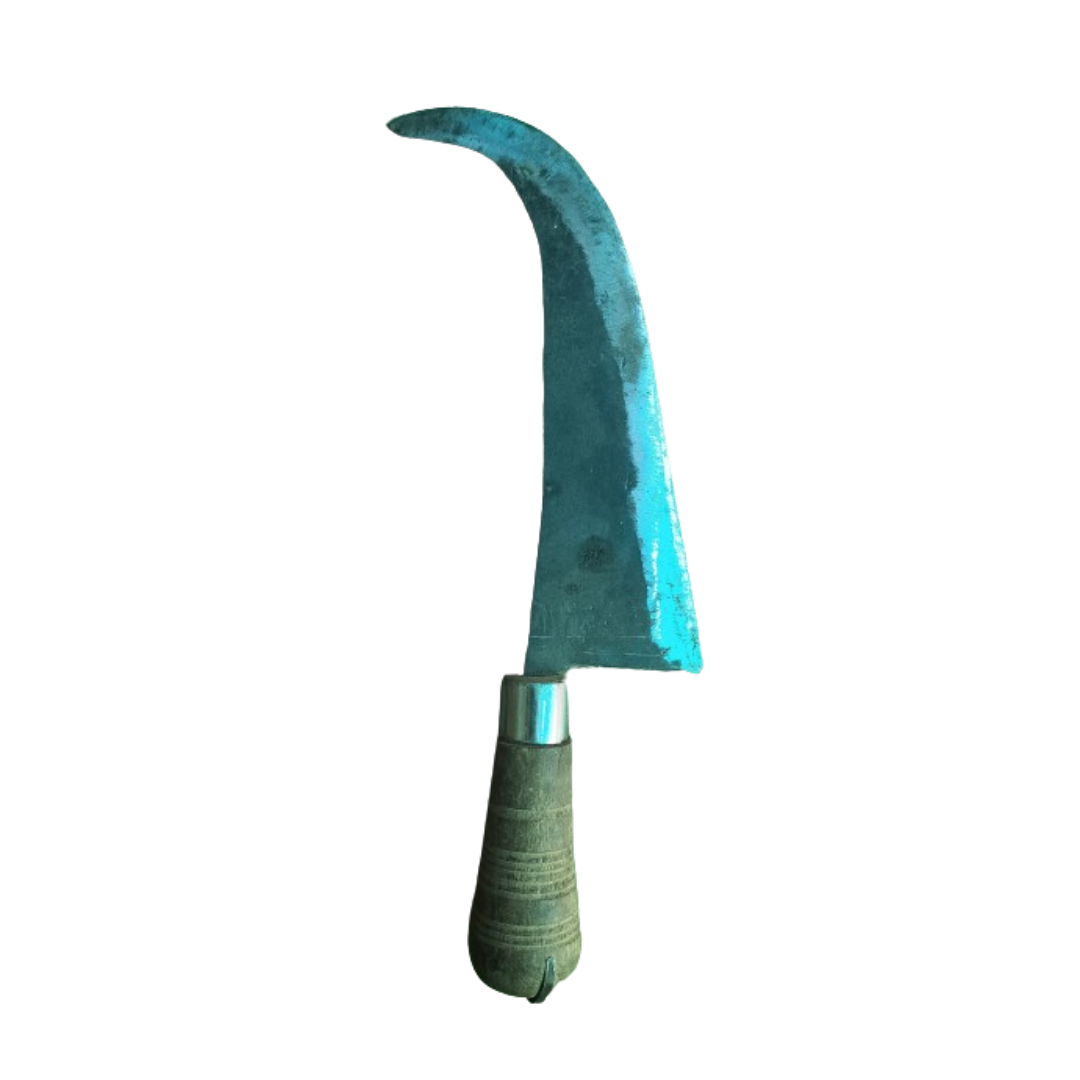 Handcrafted Iron Fish Cutting Knife with a Wooden Handle