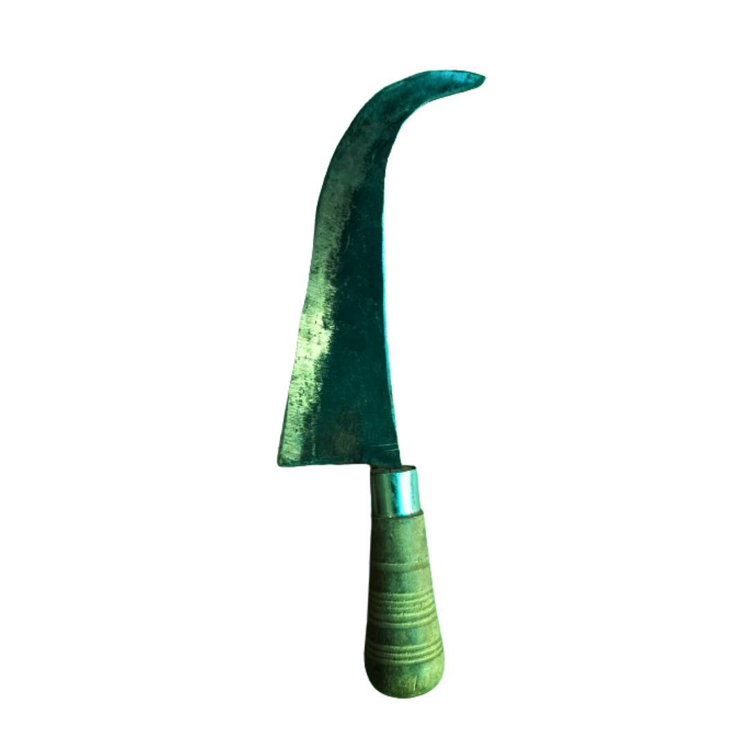 Handcrafted Iron Fish Cutting Knife with a Wooden Handle