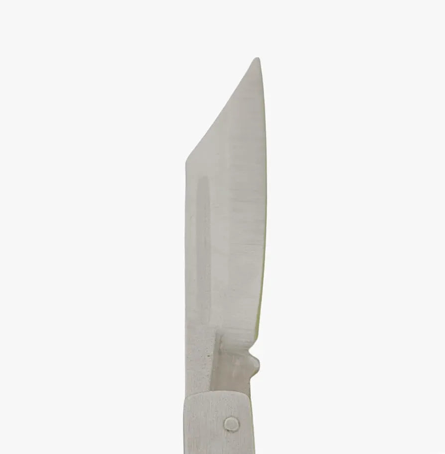 Pack of 2 | Foldable Stainless Steel Kitchen Knife β Travel Friendly, Compact Fruit & Vegetable Cutter, Pocket-Friendly Utility Knife