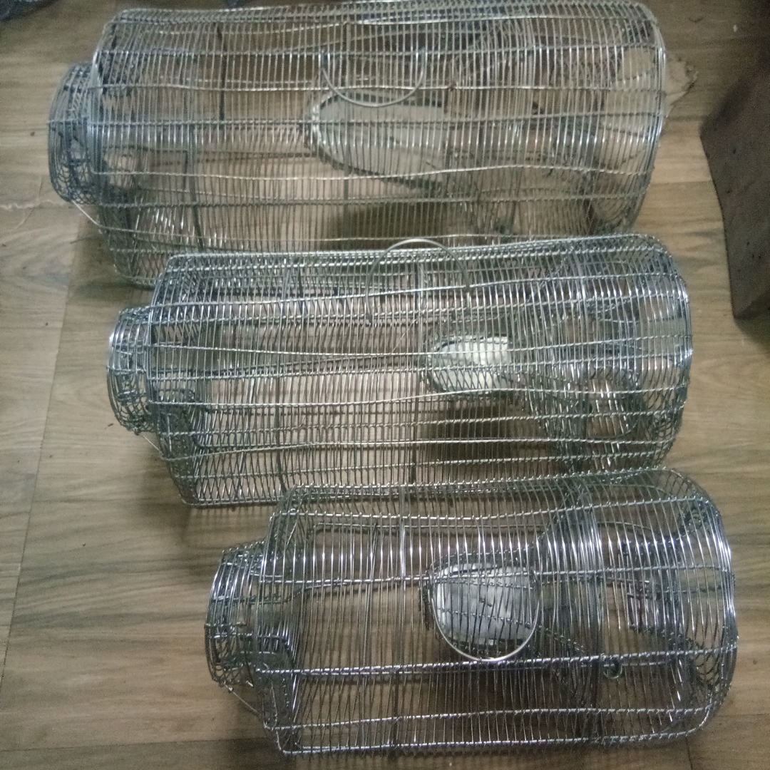 Galvanized Heavy Iron Wire Rat Trap Cage / Chuha Pinjra for Catching Rat / Mouse / Squirrels / Rodent / Chipmunk with Multiple Catching Mechanisms (No Kill)