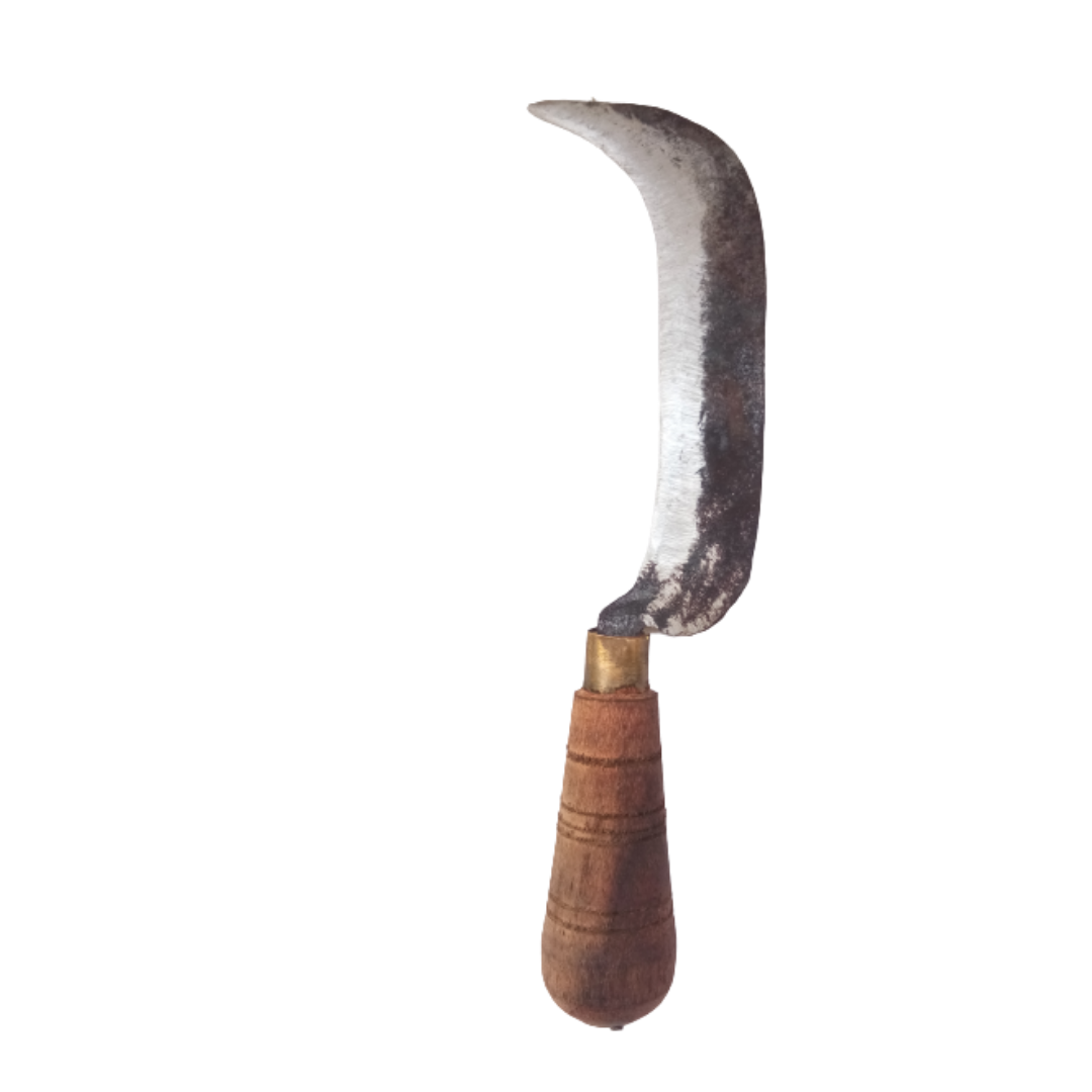 Banana Knife / Curved Knife / Paring Knife / Peeling Knife / Iron Knife with Wooden Handle (8 in / 21 cm)