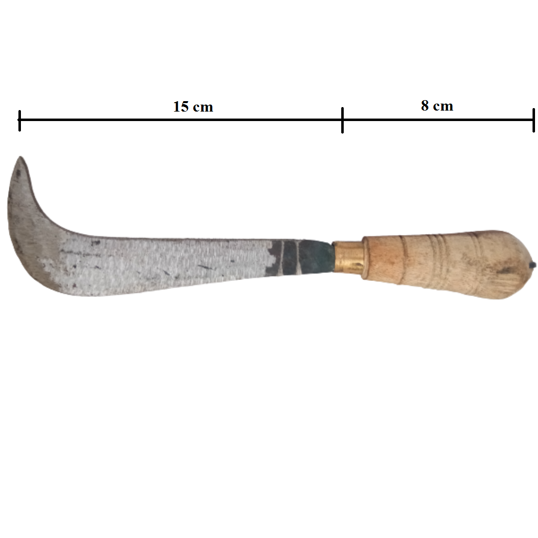Banana Knife / Curved Knife / Paring Knife / Peeling Knife with Wooden Handle for Home, Kitchen, Gardening and Agriculture Purpose (8 in / 21 cm)