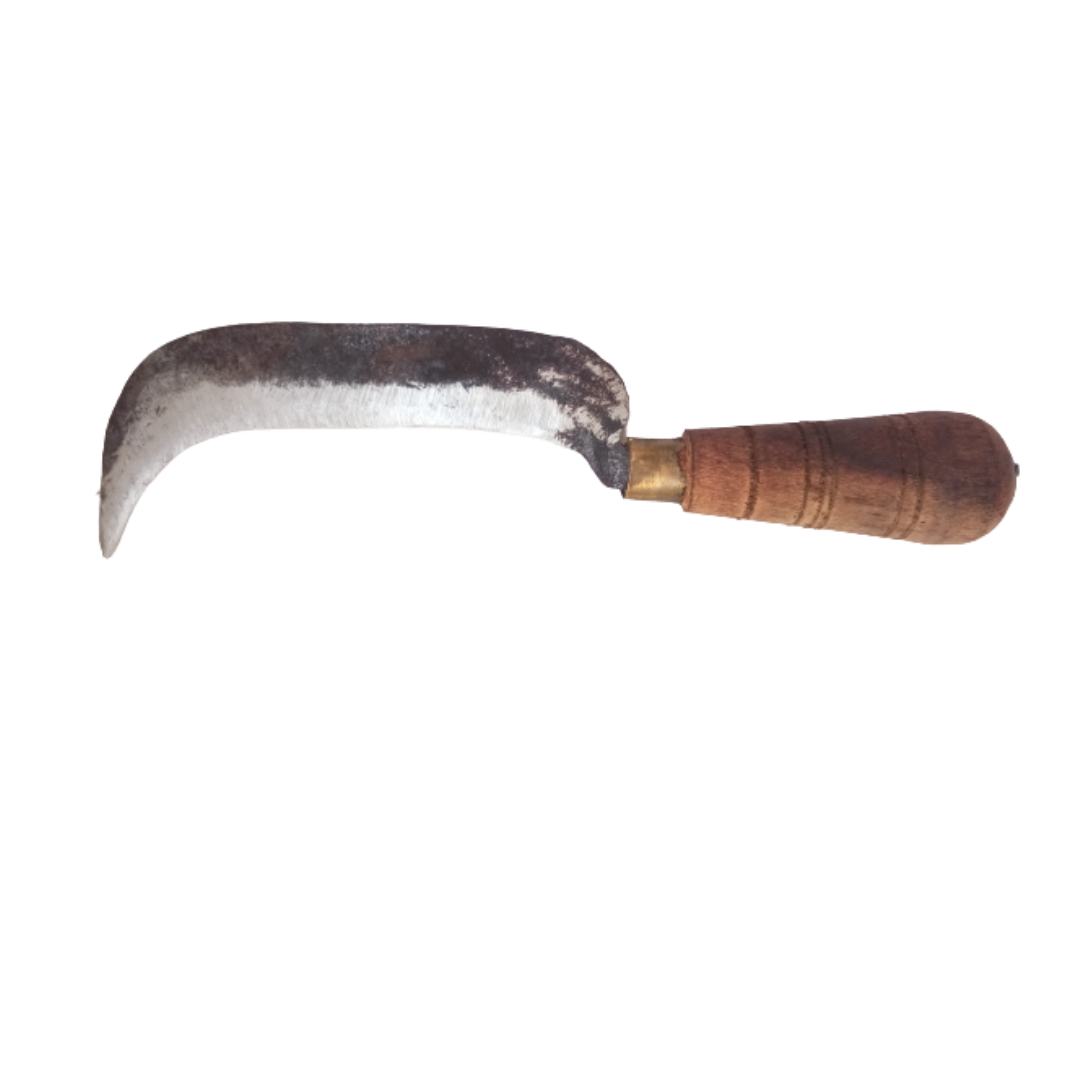Banana Knife / Curved Knife / Paring Knife / Peeling Knife / Iron Knife with Wooden Handle (8 in / 21 cm)