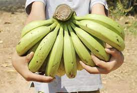 Banana Knife / Curved Knife / Paring Knife / Peeling Knife with Wooden Handle for Home, Kitchen, Gardening and Agriculture Purpose (8 in / 21 cm)