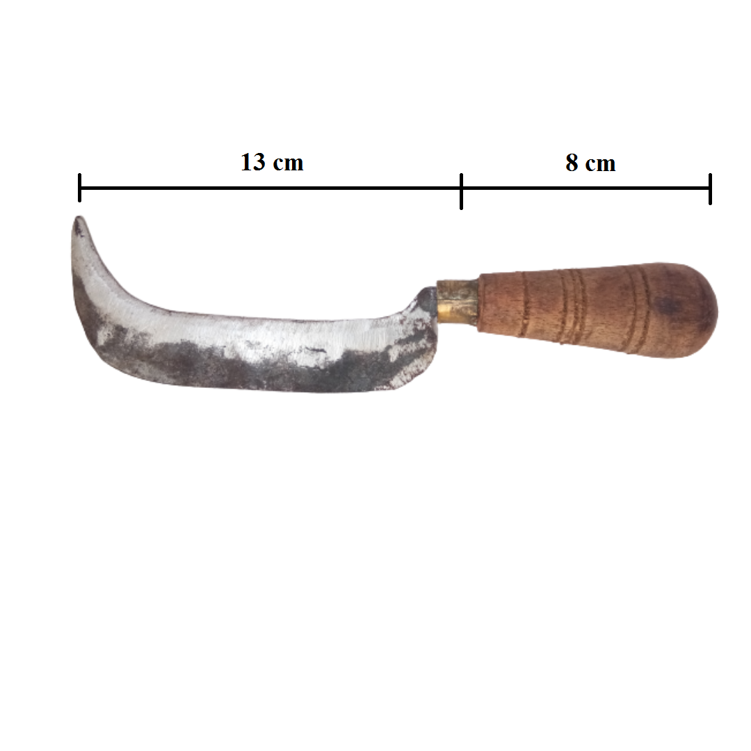 Banana Knife / Curved Knife / Paring Knife / Peeling Knife / Iron Knife with Wooden Handle (8 in / 21 cm)
