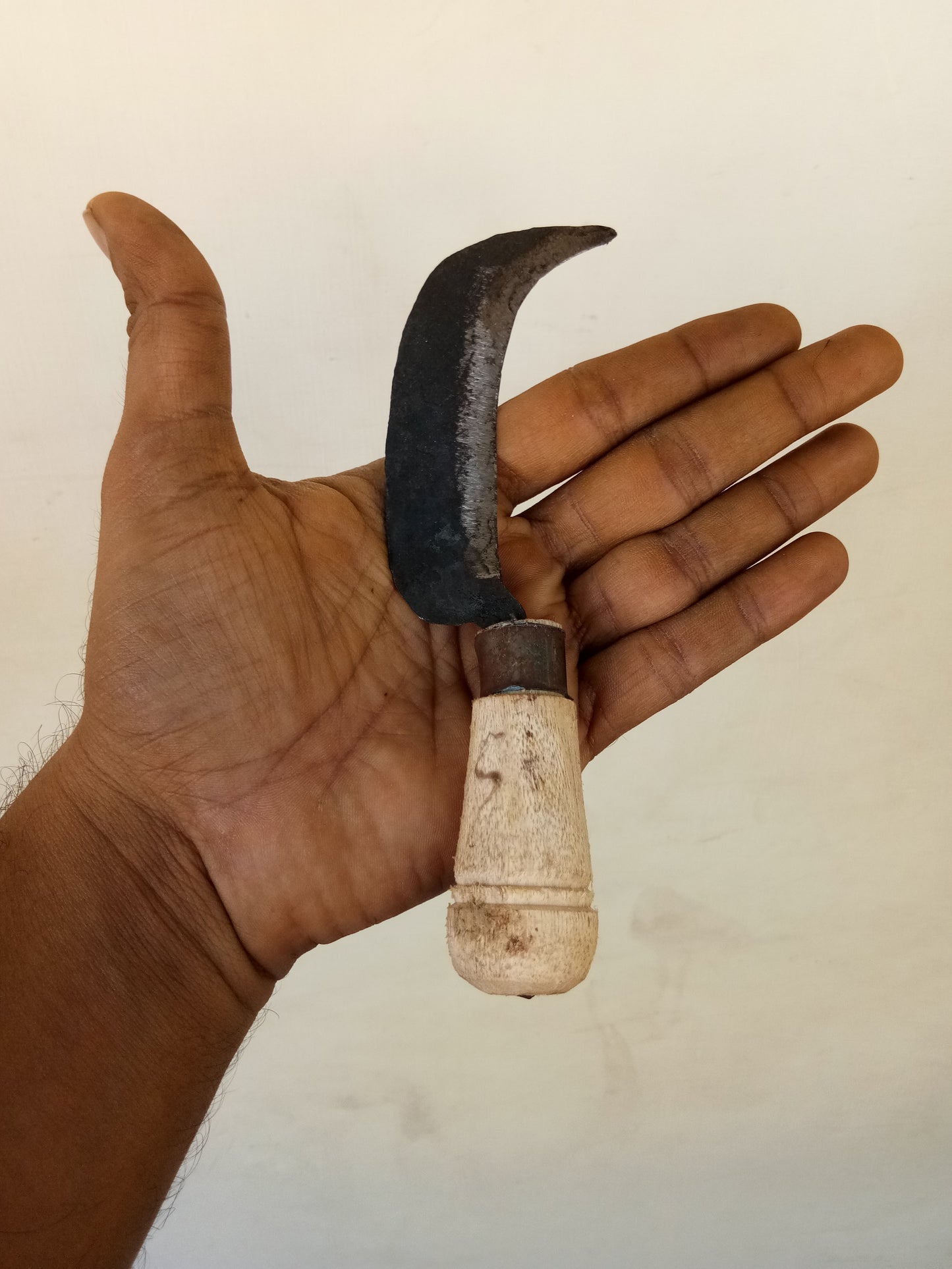 Banana Knife / Curved Knife / Paring Knife / Peeling Knife with Wooden Handle, Small (Pack of 2) (8 in / 21 cm)