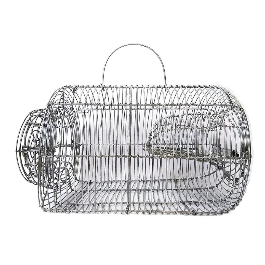 Galvanized Heavy Iron Wire Rat Trap Cage / Chuha Pinjra for Catching Rat / Mouse / Squirrels / Rodent / Chipmunk with Multiple Catching Mechanisms (No Kill)