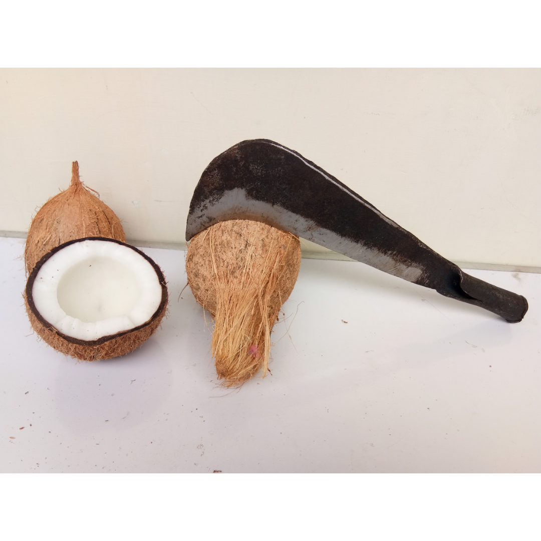 Traditional Handmade Iron Bill Hook / Vettukathi / Aruvaal / Coconut Cutting tool, Medium Size (35 cm Length, 470 g weight)