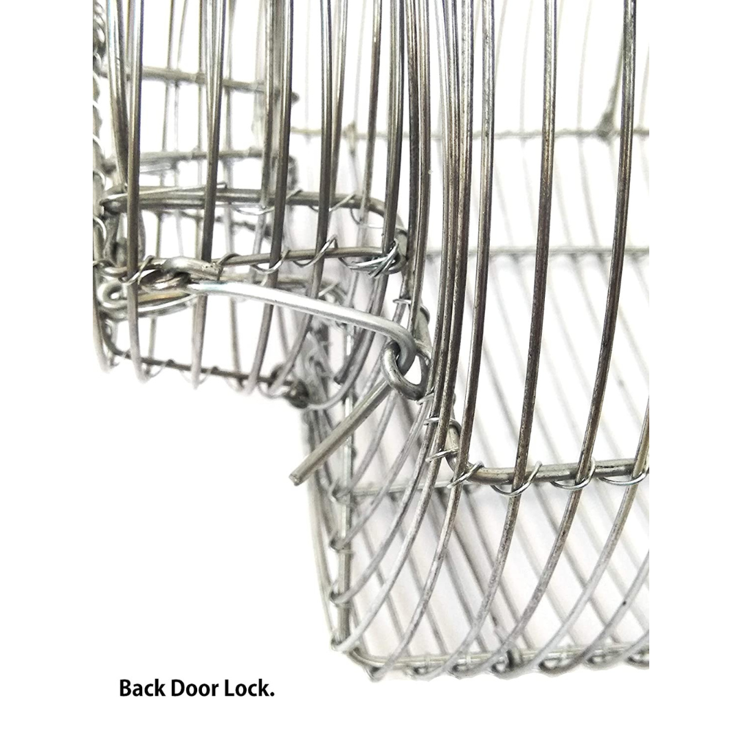 Galvanized Heavy Iron Wire Rat Trap Cage / Chuha Pinjra for Catching Rat / Mouse / Squirrels / Rodent / Chipmunk with Multiple Catching Mechanisms (No Kill)