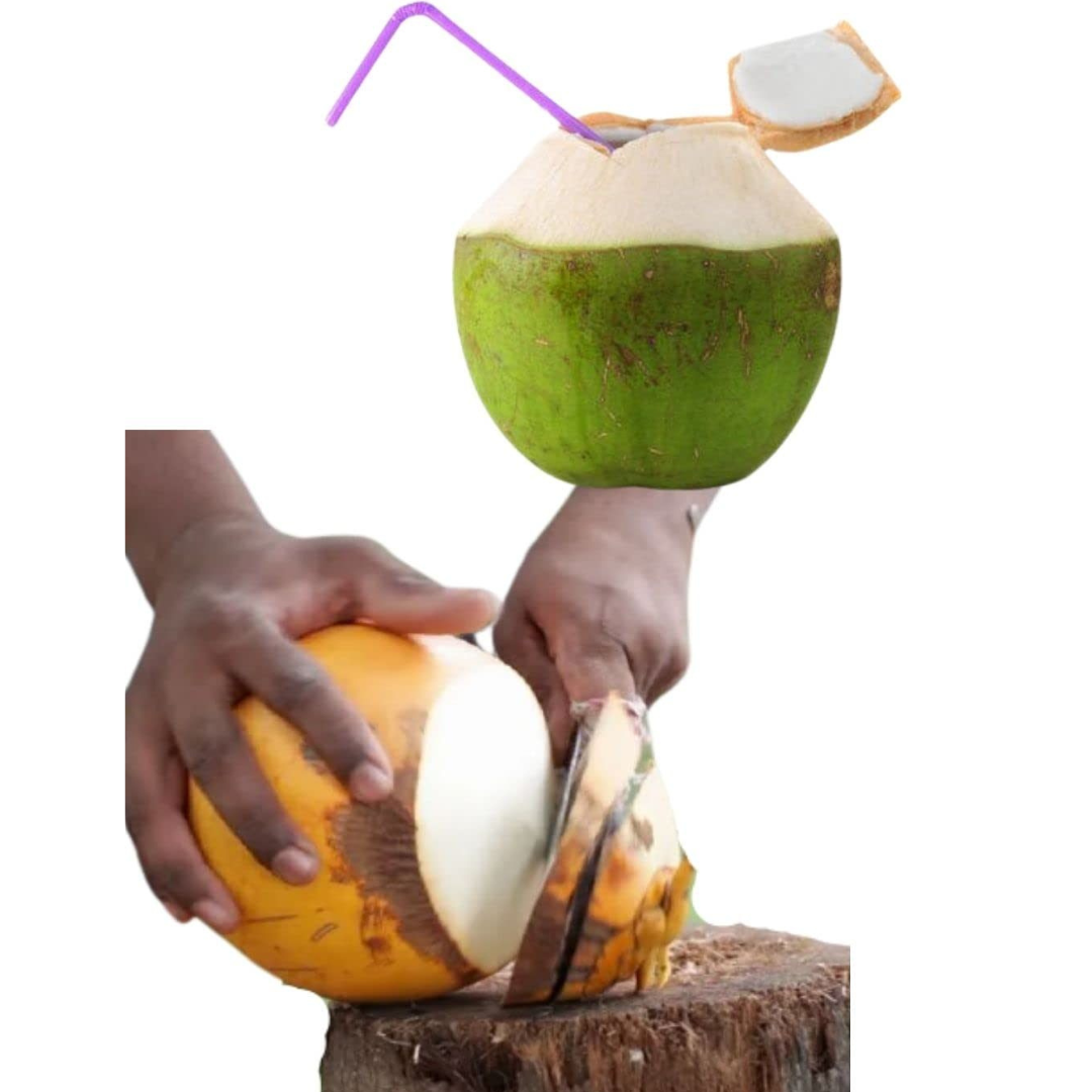 Tender Coconut Knife / Tender Coconut Cutter / Aruvaal β Handmade Iron Billhook with Wooden Handle (Medium)