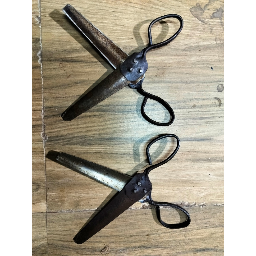 Handmade Iron Scissors for Flower Cutting – Pack of 2