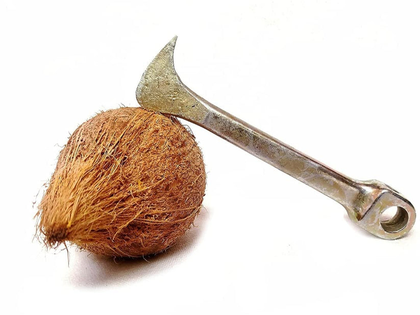 Iron Coconut Opener Tool / Coconut Slicer Tool for Removing Flesh from Shell (14 cm Length, 200 g Weight)