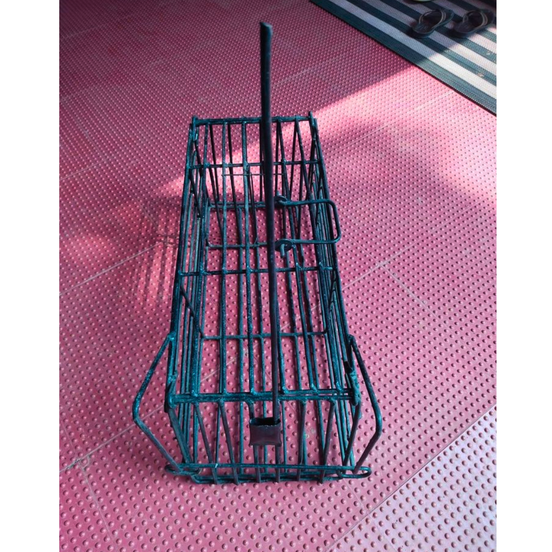 Heavy Model Big Size Cage Trap for Cats, Rabbits, and Squirrels (To Relocate)