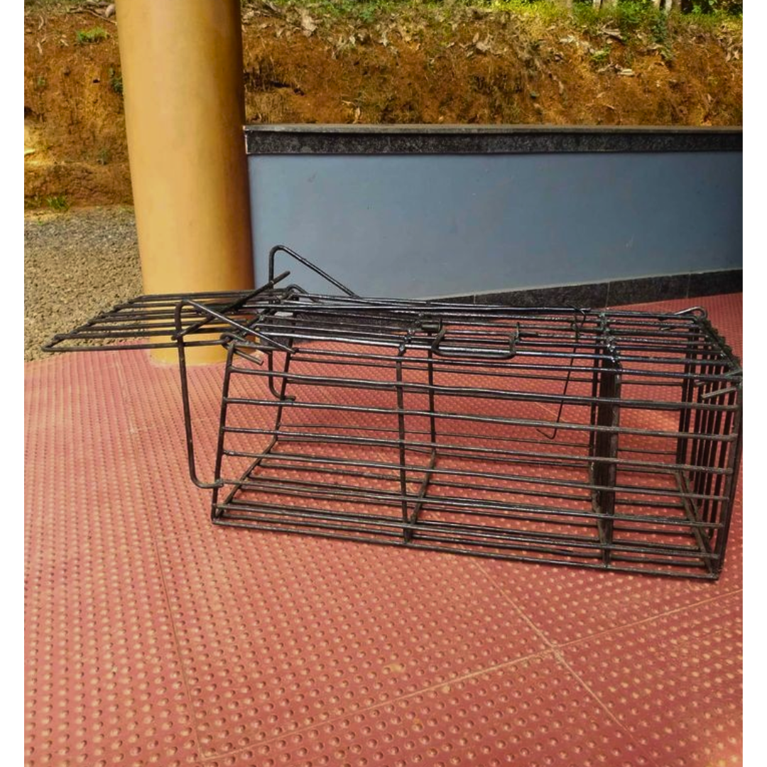 Heavy Model Big Size Cage Trap for Cats, Rabbits, and Squirrels (To Relocate)