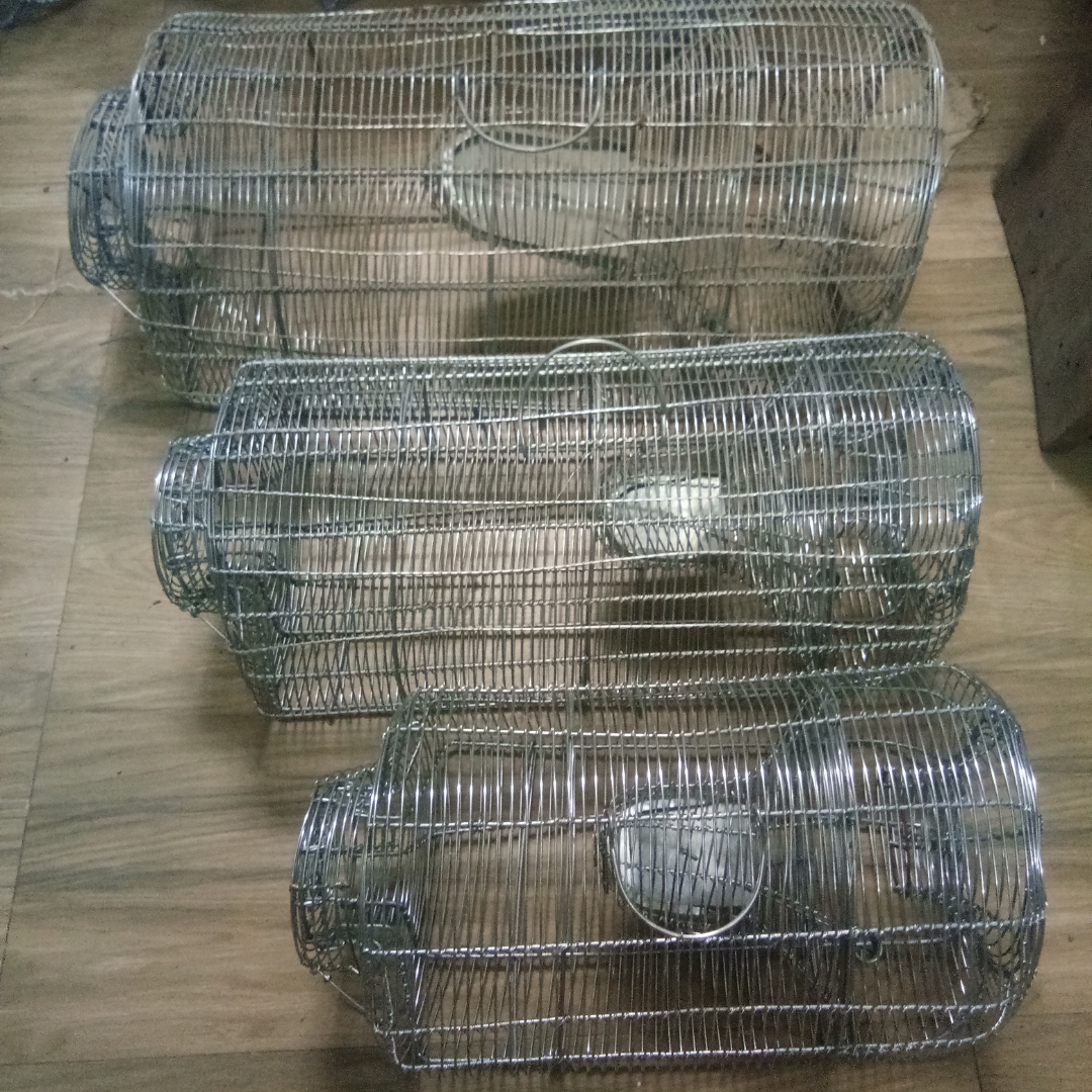 Iron Rat Trap Cage (Jaali Pinjra) Medium Size Golden