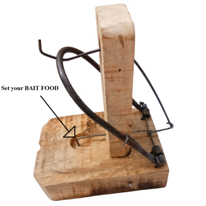 Wooden Rat Trap / Rat Killer for Home / Chuha Mar / Mouse Killer