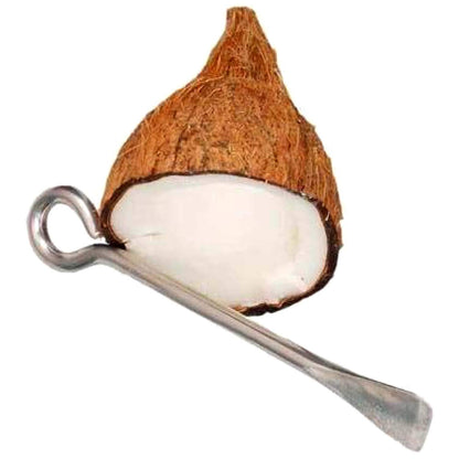 Stainless Steel Coconut Flesh Removing Tool / Naariyal Remover