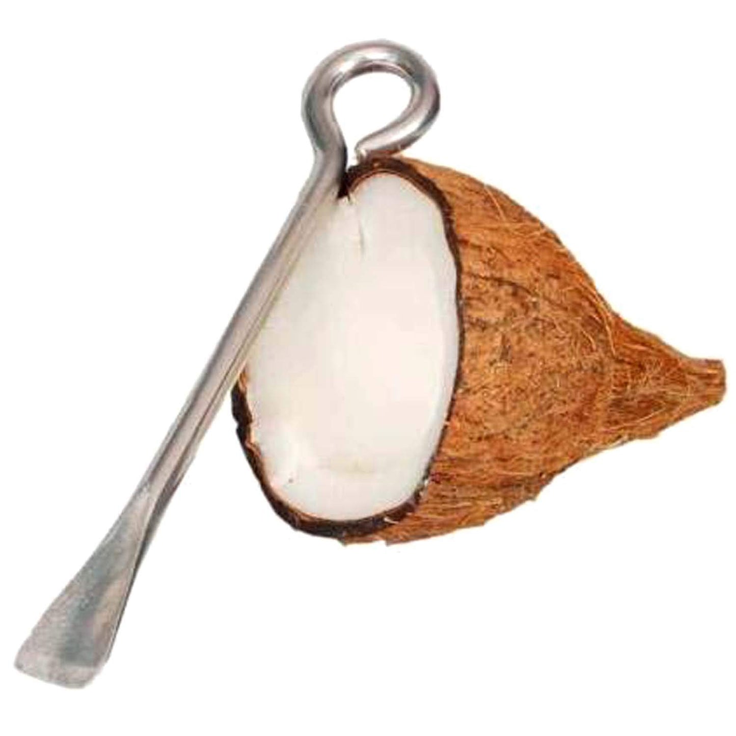 Stainless Steel Coconut Flesh Removing Tool / Naariyal Remover