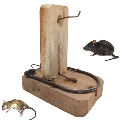 Wooden Rat Trap / Rat Killer for Home / Chuha Mar / Mouse Killer