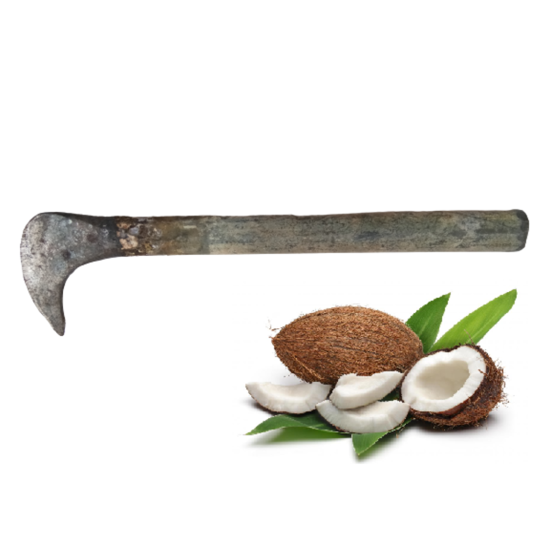 Coconut Breaker / Coconut Remover / Coconut Opener - Iron Tool for Removing Flesh from Shell (20 cm Length, 300 g Weight)