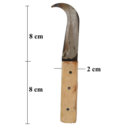 Banana Knife / Curved Knife / Paring Knife / Peeling Knife with Wooden Handle, Small (50 g, 16 cm)