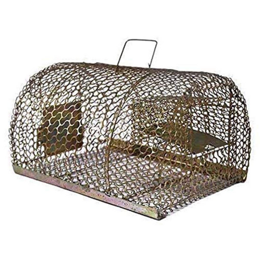 Round Rat Trap Cage / Chuha Pinjra for Catching Rat / Mouse / Rodent with Multiple Catching Mechanisms (No Kill)