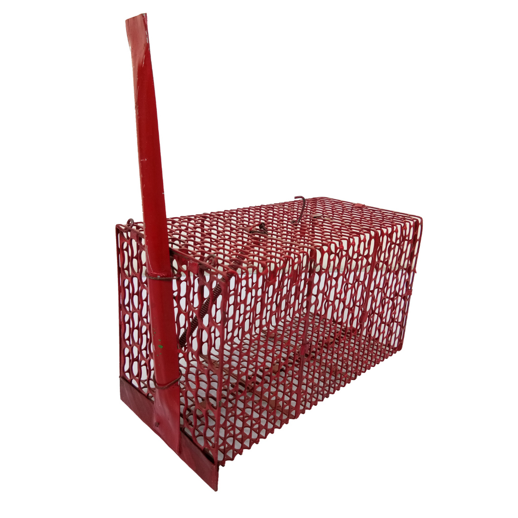 Rat Trap – Santhi Metal eShop